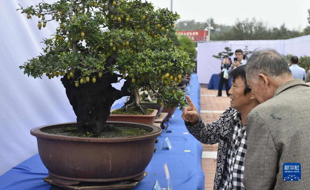 太阳集团2138网址